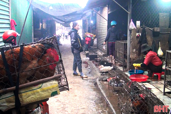 Vì sao các điểm giết mổ gia cầm tự phát tại chợ dân sinh tồn tại dai dẳng?