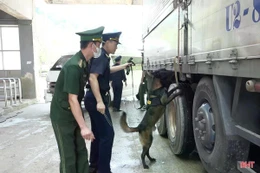 Lực lượng biên phòng đấu tranh 51 chuyên án, bắt giữ 5.690 vụ trong đợt ra quân cao điểm