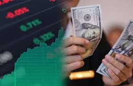 Tỷ giá USD ngày 18/1/2025: Đồng USD phá chuỗi tăng 6 tuần