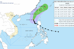 Bão số 14 duy trì gió giật cấp 15