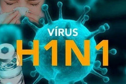 Bình Định ghi nhận 4 ca tử vong do cúm A(H1N1)pdm