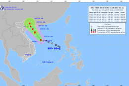 Áp thấp nhiệt đới thành bão số 2, gió giật cấp 10