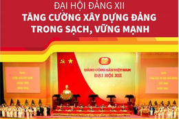 [Đảng Cộng sản Việt Nam qua các kỳ đại hội] Đại hội lần thứ XII của Đảng 