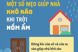 Cách giữ nhà cửa khô ráo trong tiết trời nồm ẩm