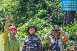 Thành lập các tổ, đội xung kích chữa cháy rừng cấp xã