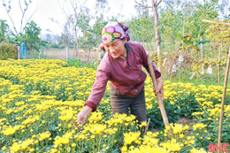 Thời tiết Hà Tĩnh dịp Tết Bính Ngọ thế nào?