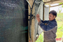 Nhiệt độ giảm sâu, người dân miền núi Hà Tĩnh lo chống rét cho đàn vật nuôi