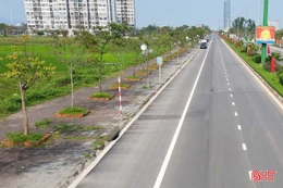 Sở NN&MT Hà Tĩnh cần thuê đơn vị tư vấn thực hiện nhiệm vụ xác định giá đất