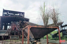 Chấm dứt hoạt động Dự án Nhà máy tuyển quặng sắt Vũ Quang