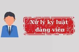 Bộ Chính trị, Ban Bí thư xem xét, thi hành kỷ luật đảng viên