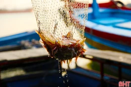 Cuốn hút ẩm thực miền biển Hà Tĩnh