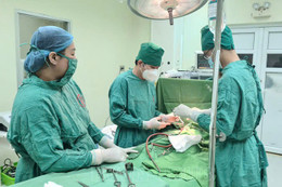 Bộ Y tế đề xuất phương án sắp xếp, sáp nhập bệnh viện, trường đại học, khối phòng bệnh