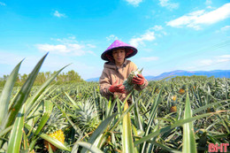 Đánh giá mới nhất về chất lượng không khí của Hà Tĩnh