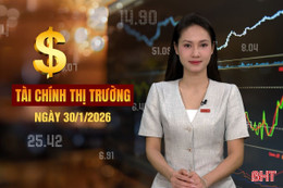 Tài chính thị trường ngày 30/1: Ba phương án cấp điện đón làn sóng 1 triệu ô tô điện