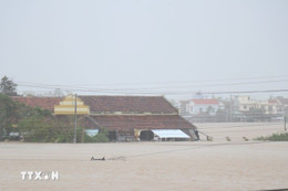 Cộng đồng quốc tế hỗ trợ Việt Nam khắc phục hậu quả thiên tai