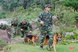 Hà Tĩnh mở đợt cao điểm tuyên truyền, đấu tranh phòng, chống ma túy