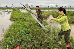 Tháo dỡ, tiêu hủy gần 70.000 phương tiện, dụng cụ bẫy bắt chim trời