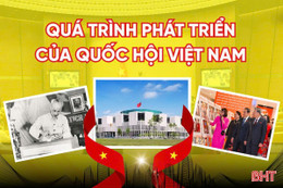 [Motion Graphics] Quá trình phát triển của Quốc hội Việt Nam 