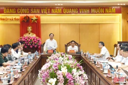 Ban Thường vụ Tỉnh ủy, Ban Chấp hành Đảng bộ tỉnh cho ý kiến các nội dung thuộc thẩm quyền