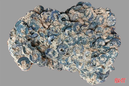 Phát hiện lượng lớn tiền cổ ở xã miền núi Hà Tĩnh