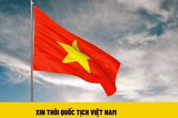 Sở Tư pháp Hà Tĩnh thông báo về việc xin thôi quốc tịch Việt Nam