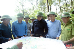 Chủ tịch UBND tỉnh: Chủ động “4 tại chỗ” trong phòng cháy, chữa cháy rừng