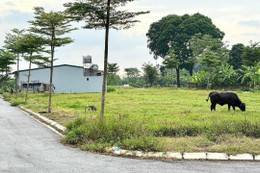 Chiêu đẩy giá đất nền huyện ven 'ăn theo' đấu giá