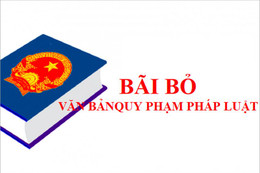 Chính phủ bãi bỏ 10 nghị định