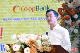 Đảm bảo quỹ tín dụng nhân dân phát triển hiệu quả, bền vững