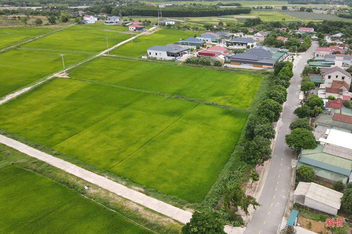 Khu đất mà xã Cẩm Lạc dự kiến xây dựng khu TĐC để di dời các hộ dân bị ảnh hưởng đất ở khi triển khai dự án đường sắt tốc độ cao. bqbht_br_tai-dinh-cu-duong-sat-cao-toc.jpg