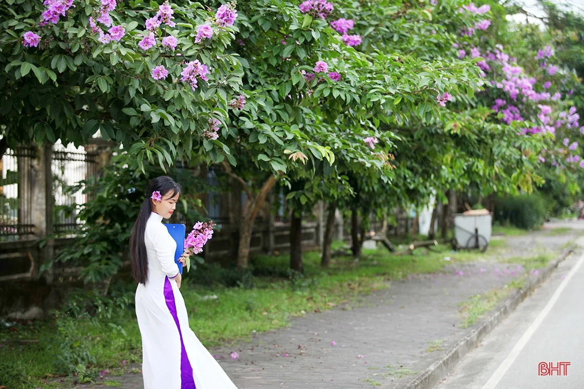 Tháng 5 ngời sắc hoa học trò ở Hà Tĩnh