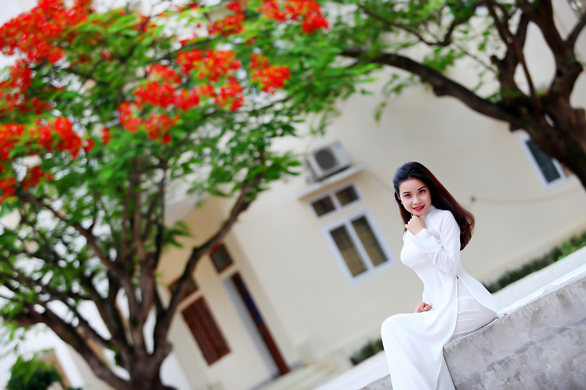 Tháng 5 ngời sắc hoa học trò ở Hà Tĩnh