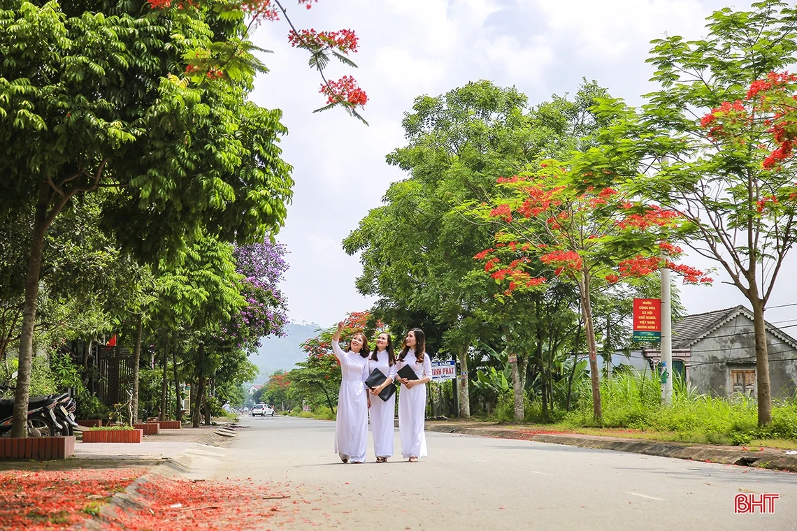 Tháng 5 ngời sắc hoa học trò ở Hà Tĩnh