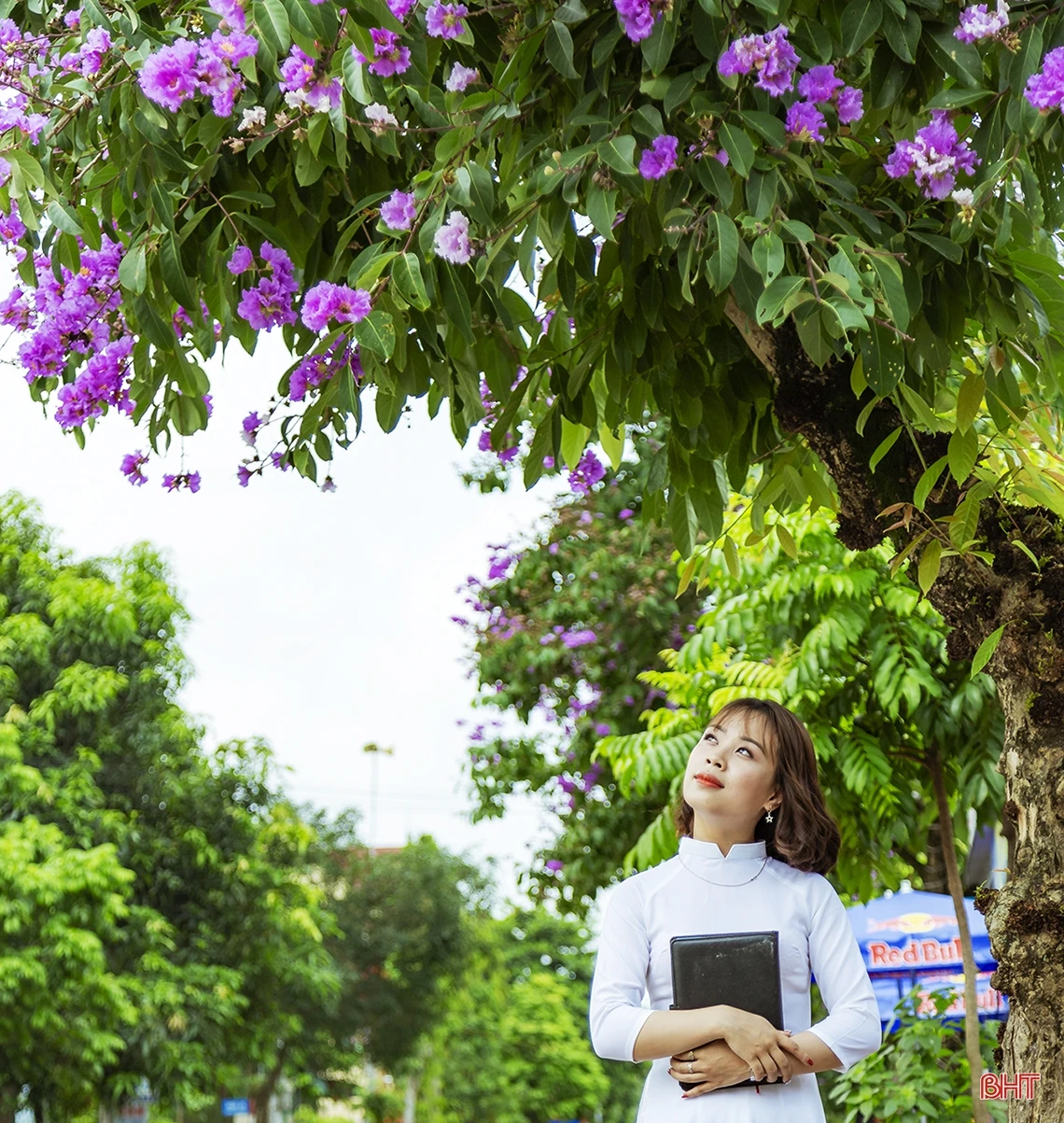 Tháng 5 ngời sắc hoa học trò ở Hà Tĩnh