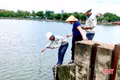 Cá chết ở hồ Bồng Sơn: Chưa ghi nhận bệnh truyền nhiễm nguy hiểm