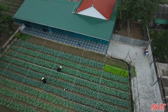 Miền quê xanh bình yên...