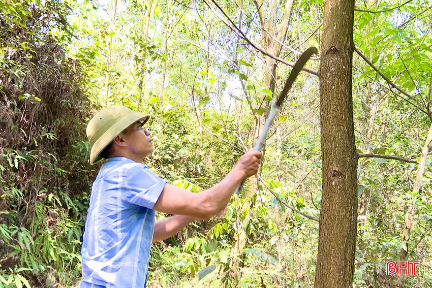 Anh Võ Tất Thắng chủ động phát quang, bảo vệ rừng. bqbht_br_05.jpg