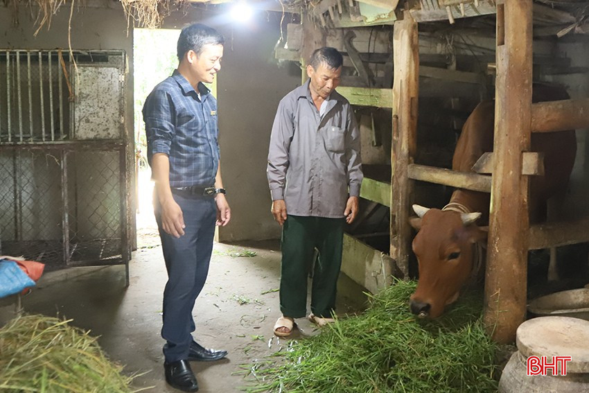Không chỉ trao "cần câu", cán bộ địa phương còn thường xuyên hướng dẫn người dân cách chăm sóc, phòng bệnh trên vật nuôi. bqbht_br_u5.jpg