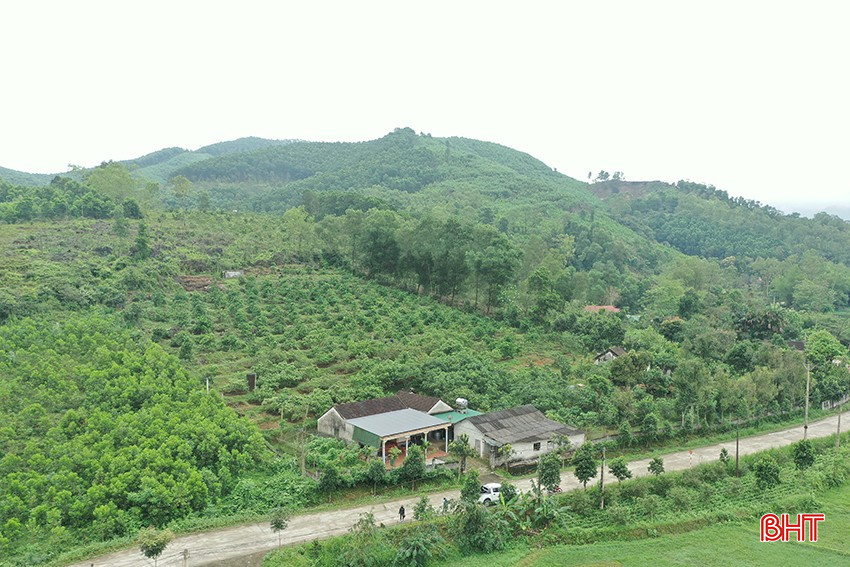 Công tác bảo vệ rừng, phòng cháy chữa cháy rừng theo phương châm “4 tại chỗ” góp phần giúp Đức Thọ bảo vệ tốt diện tích rừng trong điều kiện thời tiết nắng nóng. bqbht_br_07.jpg