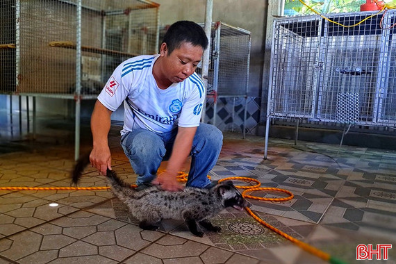Nuôi con "đặc sản", nông dân thu lãi cả trăm triệu đồng