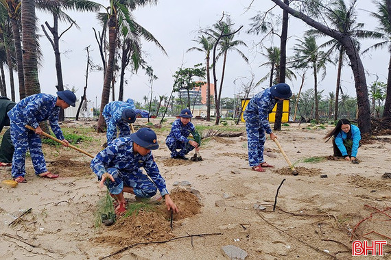 Trồng 10.000 cây phi lao chống sạt lở bờ biển Khu du lịch Xuân Thành