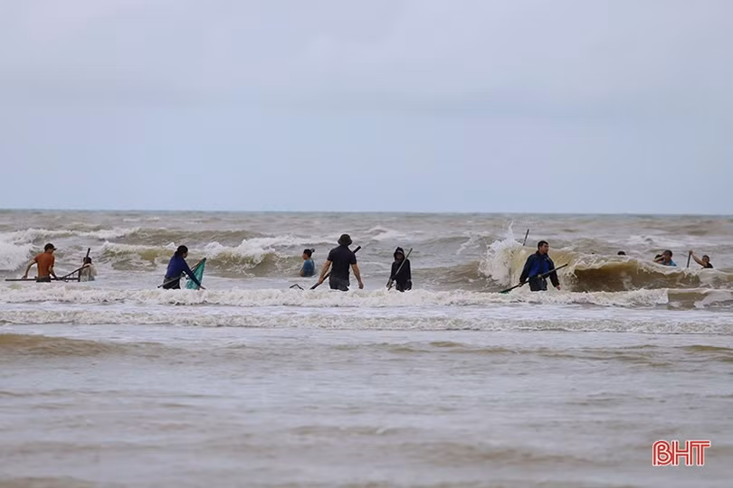Hàng trăm người dân đổ ra biển Lộc Hà nhặt sò lông dạt bờ sau bão