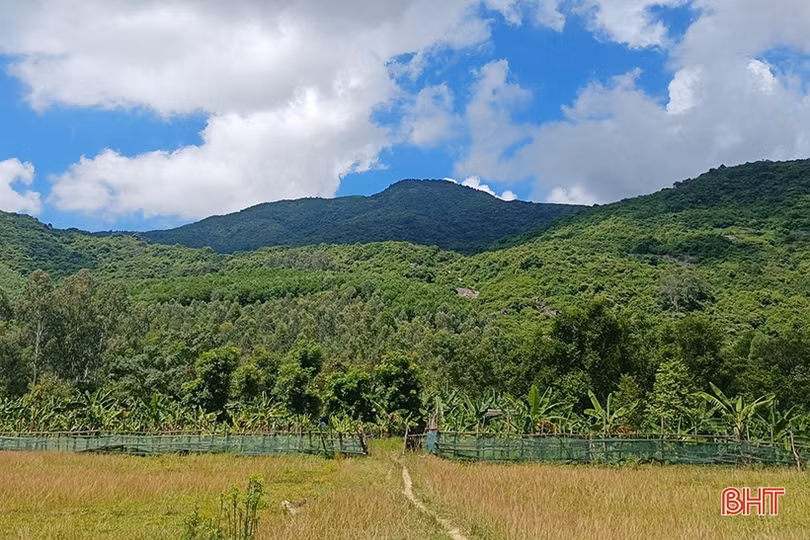 Cựu binh làm kinh tế giỏi, dám nghĩ, dám làm