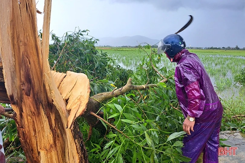 Giúp dân khắc phục thiệt hại do mưa, gió lốc ở Nghi Xuân