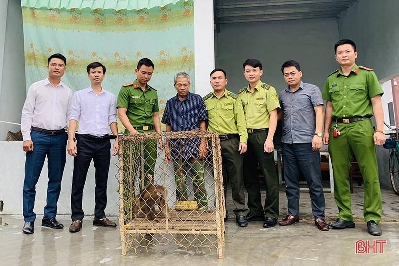 Vườn Quốc gia Vũ Quang tiếp nhận 31 cá thể động vật hoang dã quý hiếm