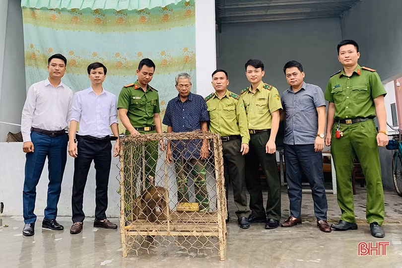 Vườn Quốc gia Vũ Quang tiếp nhận 31 cá thể động vật hoang dã quý hiếm