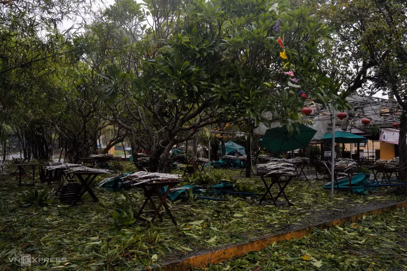 Cây đổ, nhà tốc mái sau bão Noru