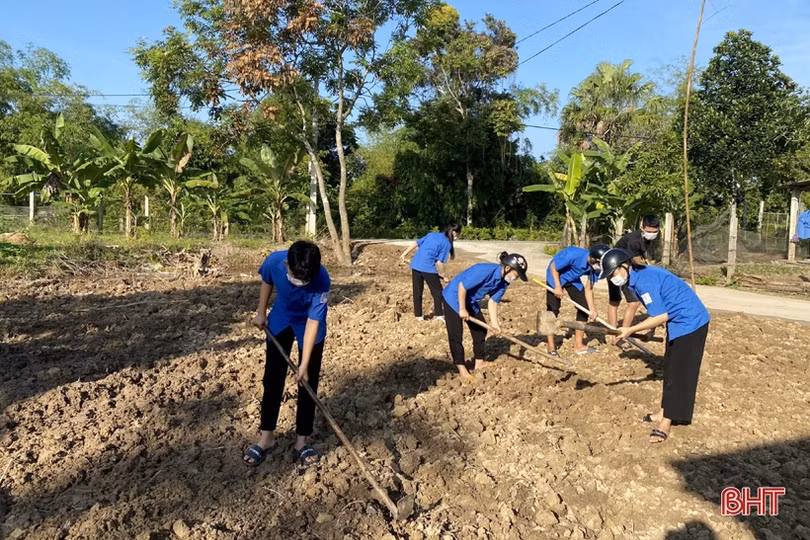 Tăng cường các hoạt động rèn luyện thể chất, kỹ năng sống cho học sinh