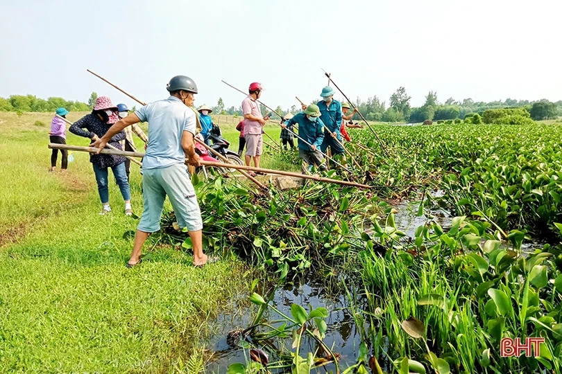 Trục vớt bèo, khơi thông dòng chảy đề phòng mưa lớn xẩy ra ở Nghi Xuân