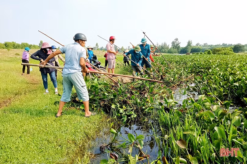 Trục vớt bèo, khơi thông dòng chảy đề phòng mưa lớn xẩy ra ở Nghi Xuân